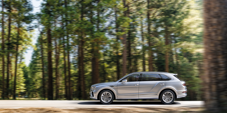Feser-Graf Exclusive Cars GmbH | Bentley Nürnberg Bentley Bentayga Extended Wheelbase SUV in Moonbeam paint driving dynamically on a forest road